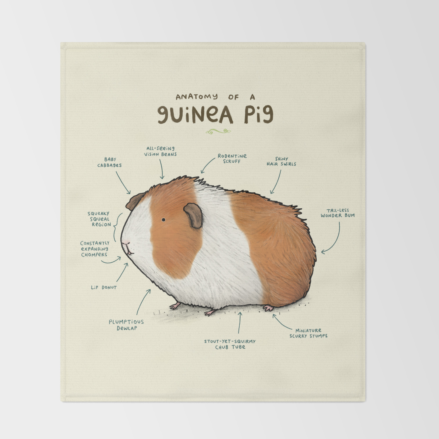 guinea pig throw blanket