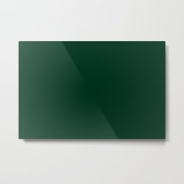 Dark Green Solid Color Popular Hues Patternless Shades of Green Collection - Hex Value #013220 Metal Print