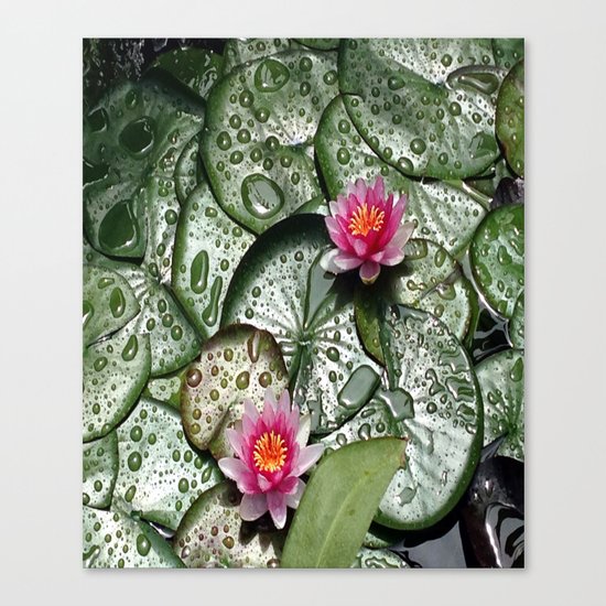 Lily Pads Canvas Print