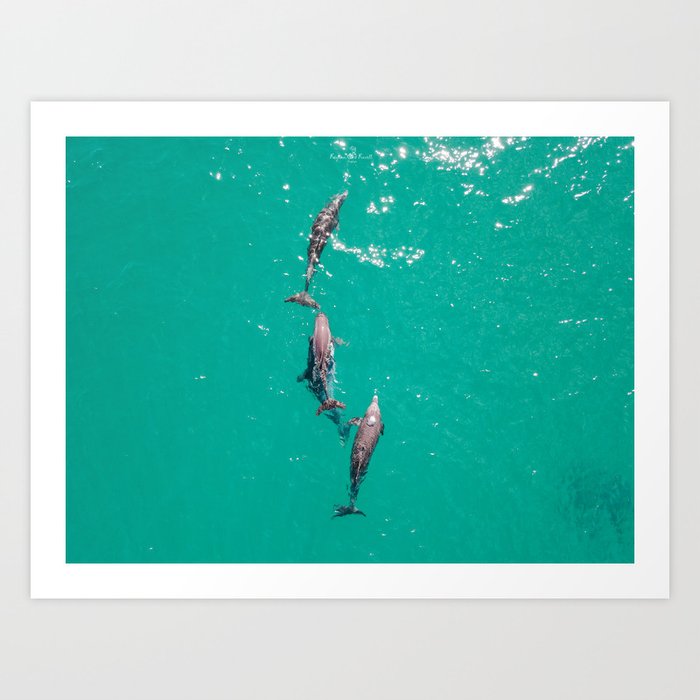 Isla Mujeres, Delfines III Mar Caribe Art Print