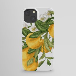 Fresh modern oranges iPhone Case