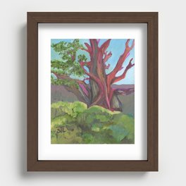Ancient Bristlecone Tree #2 Recessed Framed Print