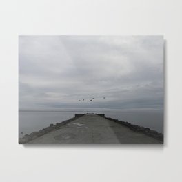 northern melancholy Metal Print | Flight, Silver, Duck, Solitude, Estonia, Pier, Gray, Tallinn, Photo, Overcast 
