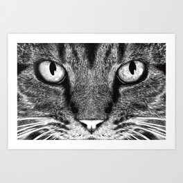 THE CAT Art Print