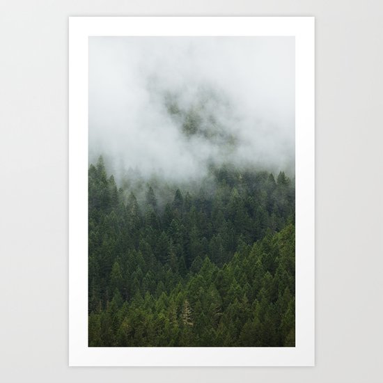 Tree Fog Art Print