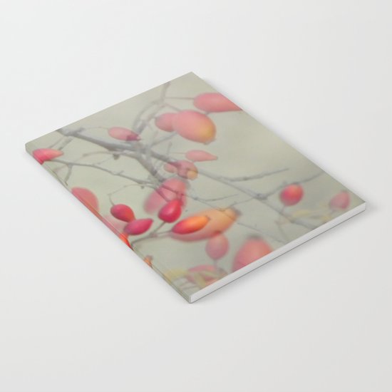 Cinorrodo Notebook