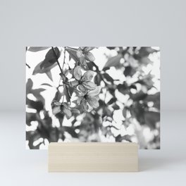 Nature's Glass Mini Art Print