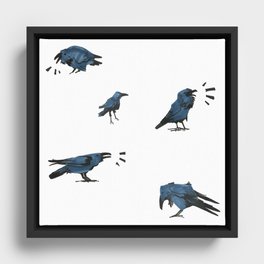 Ravens Framed Canvas