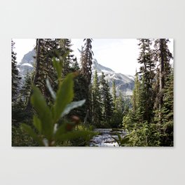 Into the Wild while in Whistler Canada Canvas Print