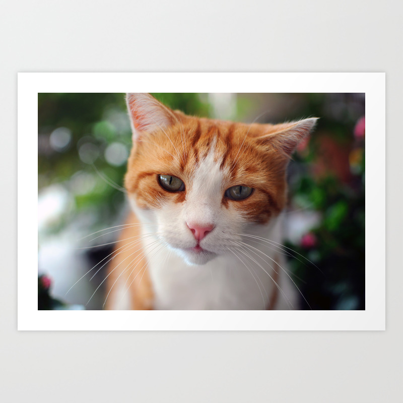 Garfield A Red Cat Art Print By Sonikdesign Society6