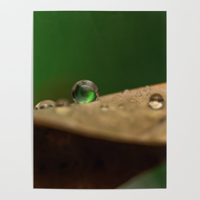 Droplets Poster