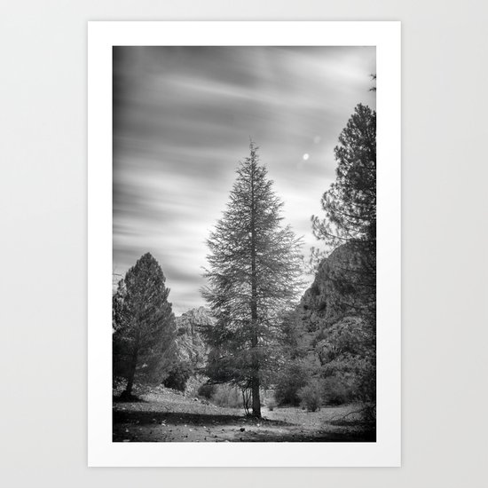 "Looking for the sky" Into the woods... BW Art Print