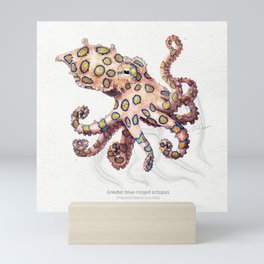 Greater blue-ringed octopus scientific illustration art print Mini Art Print