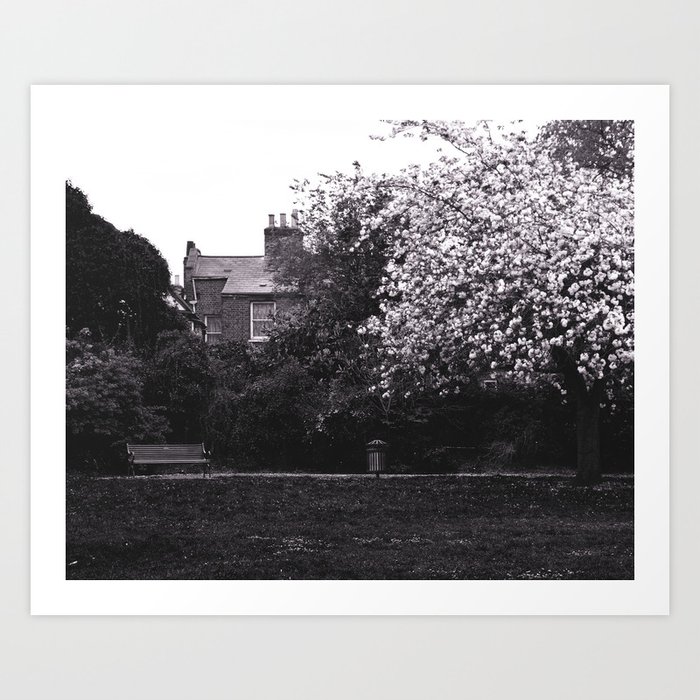 A bit of england which feels like home Art Print | Photography, London, Greenwich, Park, Nature, Landscape, Greenery, Black-and-white, Pink, Garden