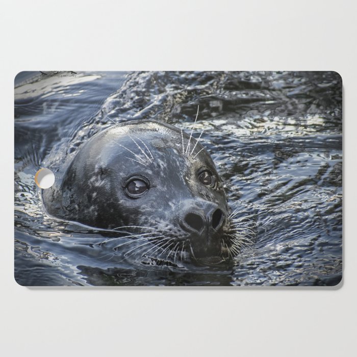Seal Cutting Board by RJR Photography Society6