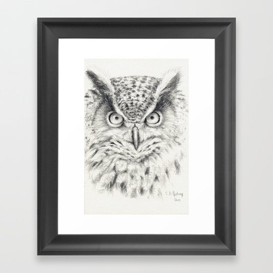 Owl G2011-012 Framed Art Print