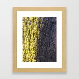 Abstracts in Nature Series -- Maple Bark Framed Art Print