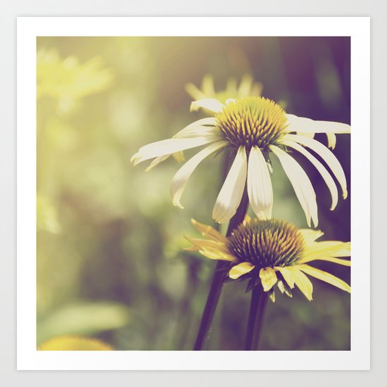 Sunshine flowers Art Print