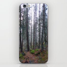 Scottish Highlands' Misty Winter Pine Forest's Moment  iPhone Skin