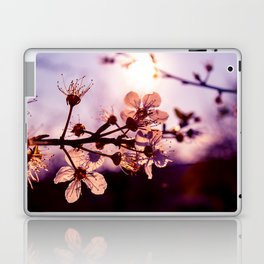 Cherry Blossom Flare Laptop & iPad Skin