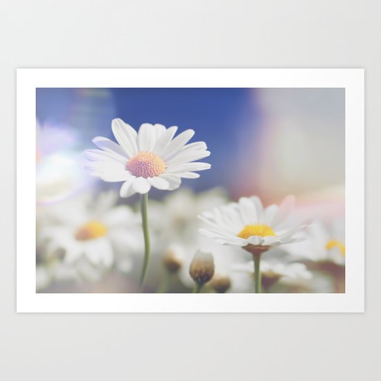 Meadow of daisies Art Print