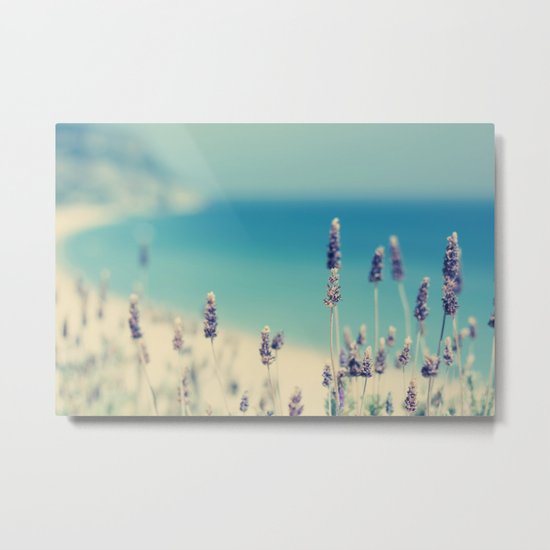 beach - lavender blues Metal Print