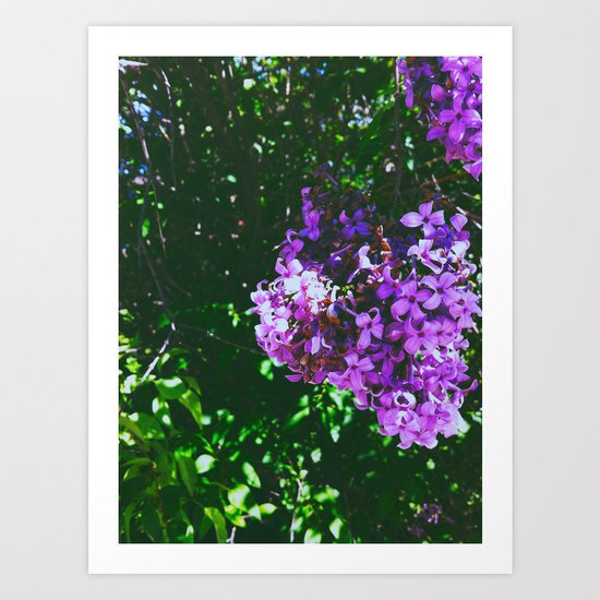 Untitled 2 Art Print