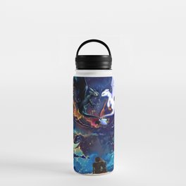 How to train your dragon Water Bottle