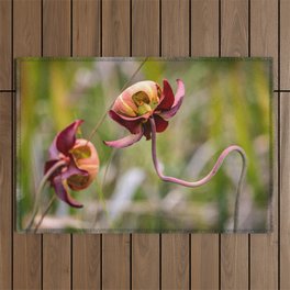 Pitcher Plant Blooms Outdoor Rug