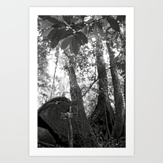 Umbilical Art Print