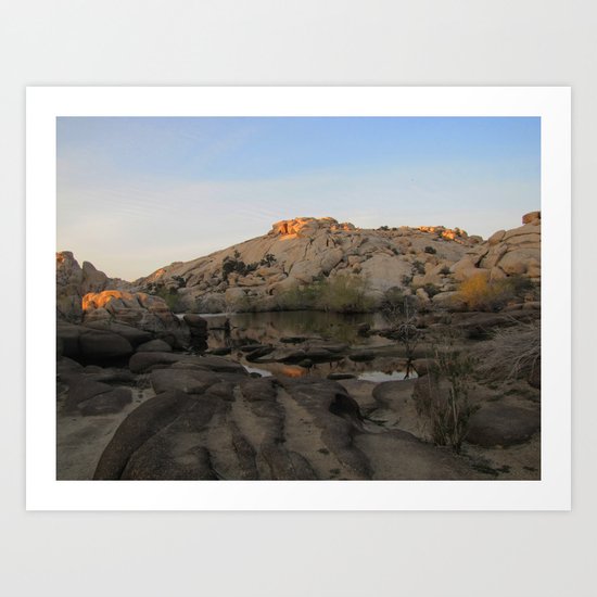 Joshua Tree National Park, California Art Print