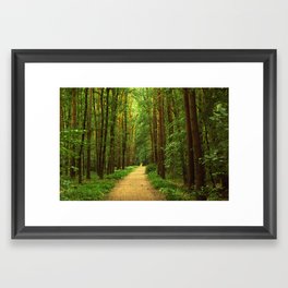 Forest path Framed Art Print