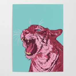Magenta tiger Poster