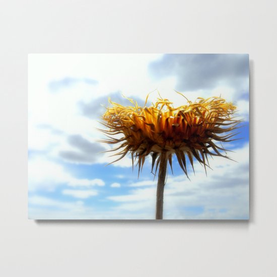 Thistle Metal Print