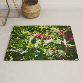 Coffee beans on vine in Panama Rug