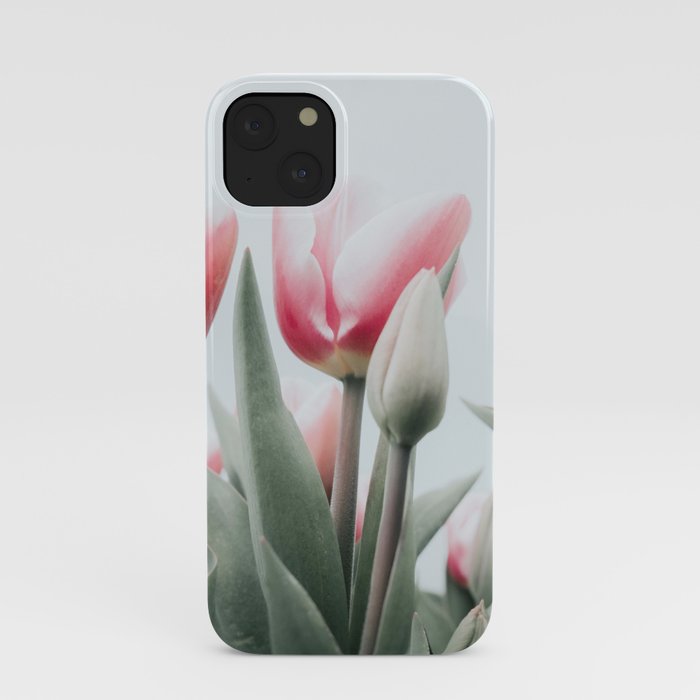 Pink Tulips Photo | Flower Photography | Pink Tulips In Flowerbed iPhone Case