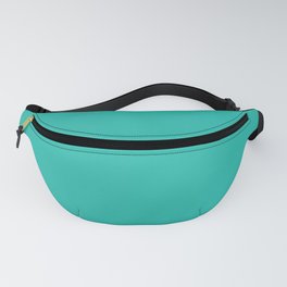 Tealish Fanny Pack