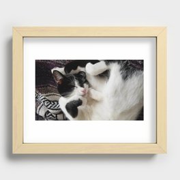 SOFT KITTY Recessed Framed Print
