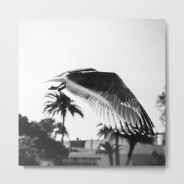 Filigrane Metal Print | Photo, Black and White, Animal, Nature 