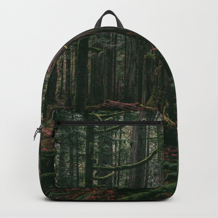 Cathedral Grove Print II | Vancouver Island, BC | Landscape Photography Backpack
