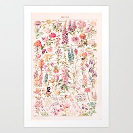 Soft Pastel vintage floral chart by Adolphe Millot | Vintage French Poster Art Print