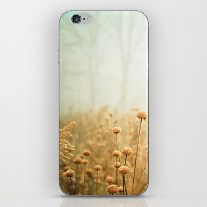 Daybreak in the Meadow iPhone Skin