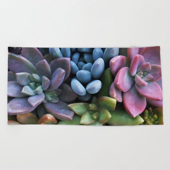 Colorful Succulents Beach Towel