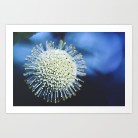 Burst Art Print