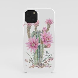 cacti 1 iPhone Case | Plant, Cactus, Painting, Succulent, Desert, Flower, Tropical, Vintage, Watercolor, Cacti 