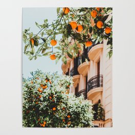 Orange Tree Fruits Print, Barcelona Spain Print, Orange Fruits Wall Art Print, Urban Photography, Tropical Summer Print Poster
