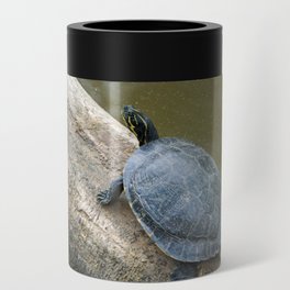 Turtle Can Cooler