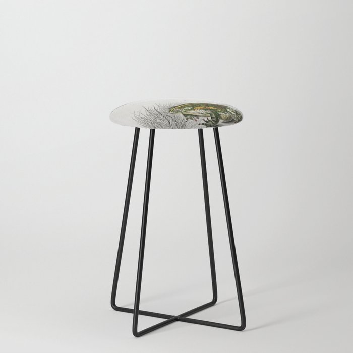 Oval Frog & Green Toad Counter Stool