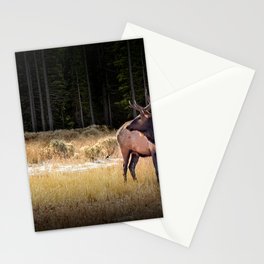 Yellowstone National Park Elk Stationery Card