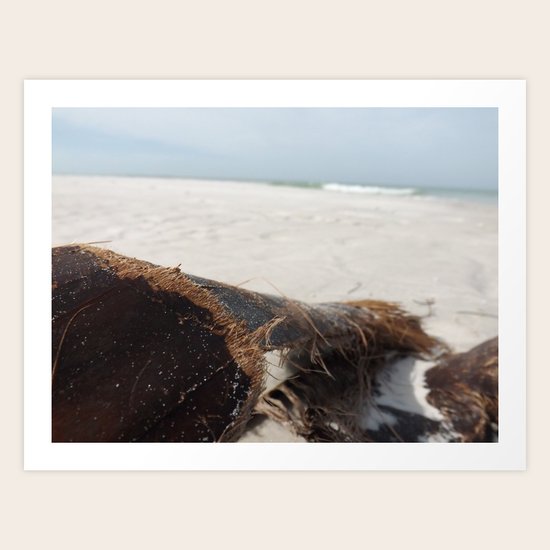 Palm Tree Bark Art Print By Travelbug88 Society6